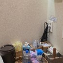 대한곱창 명지점 | 명지단골맛집 파평옥 명지해장국맛집 명지막걸리맛집