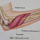 강남연세신통의원 이미지