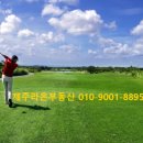 라온사우나 이미지