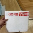 삼선바다 | 바위굴 내돈내산 후기 삼선바다 택배로 주문해 돌멍게까지 먹어본 솔직 후기
