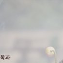 가로수정신건강의학과