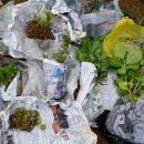 예나농장 이미지