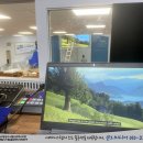 영신스크린