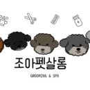 조아펫살롱 이미지