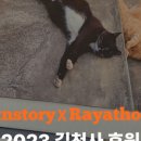 펫앤스토리 이미지