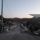 들꽃피는 아침풍경 이미지