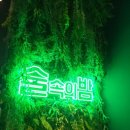 술속의밤화성
