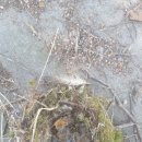 가인동물병원 이미지