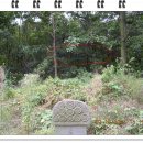 고산서당 터 이미지