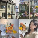 (원데이) 그린 플랜트 | 홍대 꽃집 연남동 플로드마 기념일 꽃다발 주문, 예약, 후기