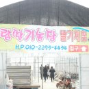 주식회사 용문 이미지