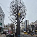 서울안경 | [쌍문역안경]백년가게 인증받은 안경점 서울 성모안경 후기