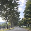 단양남천계곡물가 이미지