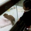 오렌지가정의원 이미지