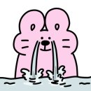 이지잉크 이미지