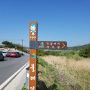 황부자농장 | 양평 두물머리 물래길 봄 소풍 걷기여행축제, &#34;내 친구의 집은 어디인가?&#34;
