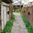 전주수라상 이미지