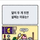 아재개그 이미지