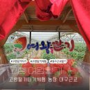유일농장 | 고령 딸기따기체험 농장 대구근교 여왕딸기