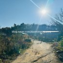 시골집영양탕토종닭 이미지