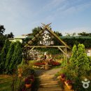 팜카밀레 이미지