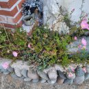 돌멩이 펜션 이미지