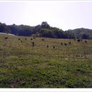 수산리농장 이미지