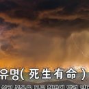 사생유명(死生有命)