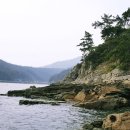 파도가머무는정원 이미지