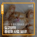 웰니스동물병원(고잔점) 네이버블로그