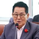 박지원 카카오 검색결과