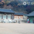 굴평전 이미지