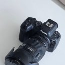 내 손안의 하모니카 : 입문 | 캐논 EOS R6 입문용 미러리스 카메라 카린이의 내돈내산 장단점 포함 신랄한 후기
