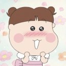 스테이오아 이미지