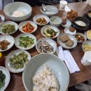 신대청마루 | 남양주 대청마루, 대체 왜 줄 서서 먹나 했더니... 나물 비주얼에 납득 완료!