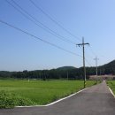 진산학생교육원 꿈키움학교 이미지