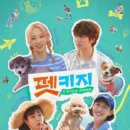 플레이독애견풀빌라 이미지