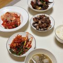 11월 쫌쫌따리 그림일기