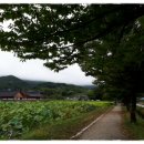 지리산느티나무휴게소