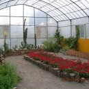 다솜농장 이미지