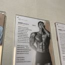 덕양구청 | [다이어트 1.] 화정 덕양구청 온플릭휘트니스 화정점 개인PT 후기 : 우디쌤