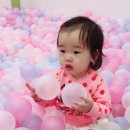 꽃보다 Daum카페