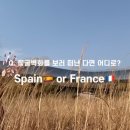 전곡선사박물관 이미지