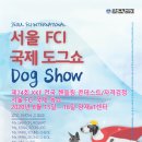 애견미용학원설민우