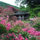 담양군 고서면 멀리 보십시오 이미지