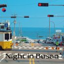 신성바이오 | 요가 시작하면 달라지는 것들 ③｜요가복·요가장·루틴까지 현실 정리 (완결편)