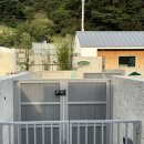 경남애견펜션 마산 멍온스테이 : 아기&amp;강아지랑 다녀온 후기