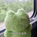 창원 당일치기