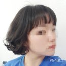 이가자헤어비스괴정점