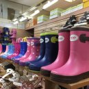 르네시떼 이미지